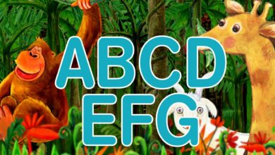 الأبجدية ABC سلسلة صوتيات (من A إلى Z) – بدون موسيقى | Alphabet ABC Phonics Series (From A to Z) – No Music