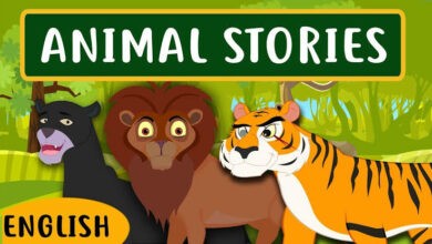 قصص الحيوان لتعليم اللغة الانجليزية للاطفال - بدون موسيقى | Animal Stories - No Music 20 فيديو