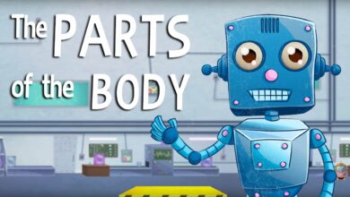 التعرف على أجزاء الجسم بدون موسيقى | Learning about Body Parts - No Music (3 فيديو)
