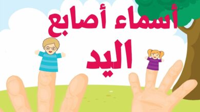 أغنية تعليم اللغة العربية للأطفال أسماء الأصابع - Famille des doigts arabe - Arab finger family song بدون موسيقى