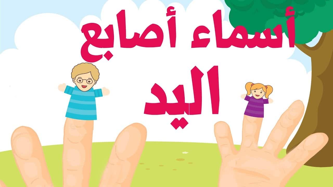 أغنية تعليم اللغة العربية للأطفال أسماء الأصابع – Famille des doigts arabe – Arab finger family song بدون موسيقى