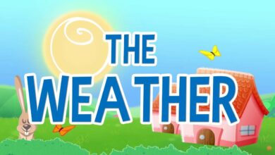 التعرف على الطقس بدون موسيقى | Learning about the Weather - No Music (4 فيديو)