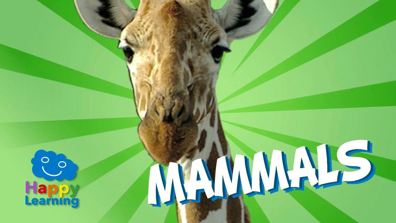 الثدييات | فيديو تعليمي للأطفال بدون موسيقى | Mammals | Educational Video for Kids No Music (1 فيديو)