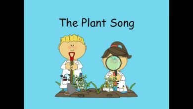 أغنية النبات بدون موسيقى | The Plant Song No Music
