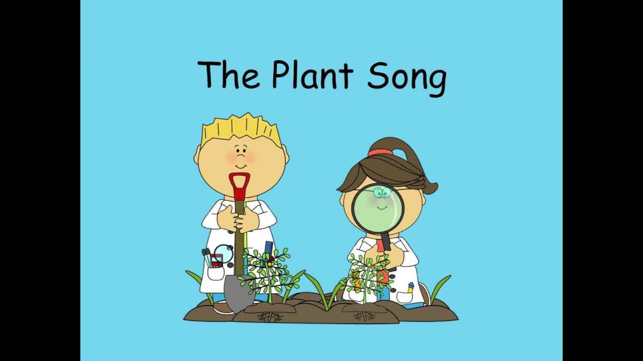 أغنية النبات بدون موسيقى | The Plant Song No Music